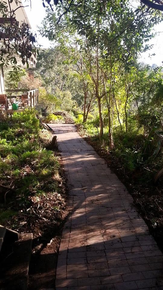 Garden after clean-up with the brick path clear and plants cut back